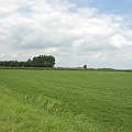 Rosmalense polder (5).JPG