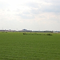 Rosmalense polder (6).JPG