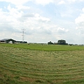 Rosmalense polder (7).JPG