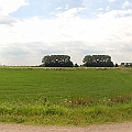 Rosmalense polder (8).JPG